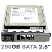 DRK1J Dell 250 ГБ 3G 7,2K 2,5 SATA с G176J